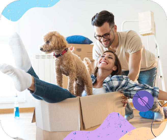 graphic-feature-large-shared-database